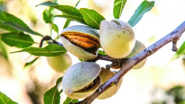 Échappée belle et gourmande en Provence