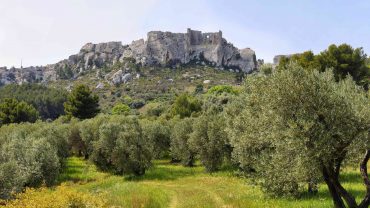 <span class="entry-title-primary">Provence</span> <span class="entry-subtitle">Le terroir en majesté</span>