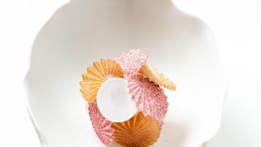 <span class="entry-title-primary">Anne-Sophie Pic</span> <span class="entry-subtitle">L’alchimie des saveurs !</span>