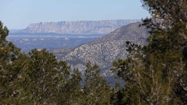 Balade entre forêt et MÉDITERRANÉE