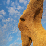 Corsica Forms 2014 Corsica Forms 2014