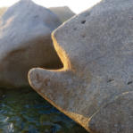 Corsica Forms 2014 Corsica Forms 2014