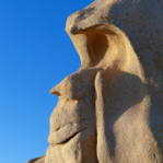 Corsica Forms 2014 Corsica Forms 2014