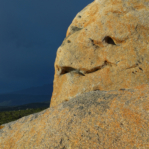 Corsica Forms 2014 Corsica Forms 2014